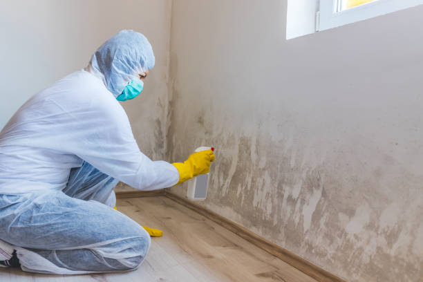 Hvac And Air Duct Mold Remediation inspection of HVAC system in Broadway