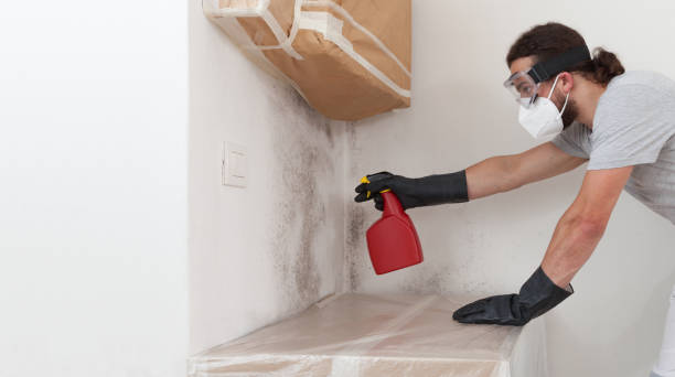 Attic Mold Remediation treatment on roof deck in Broadway