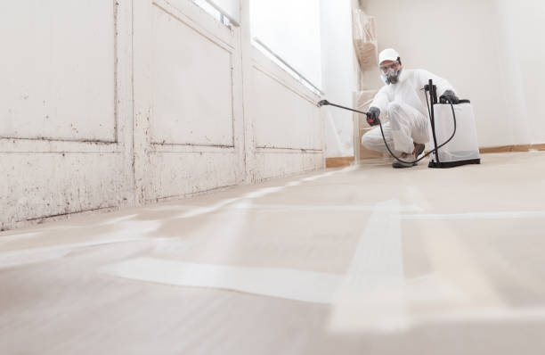 Black mold remediation team in Broadway