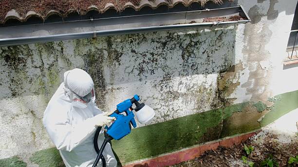 Mold Remediation service in Broadway, Broadway, VA